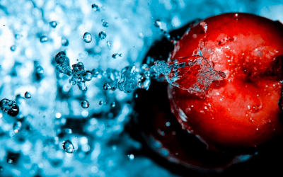 Here’s How to Start the Holiday Seasons Without Sugar Cravings!