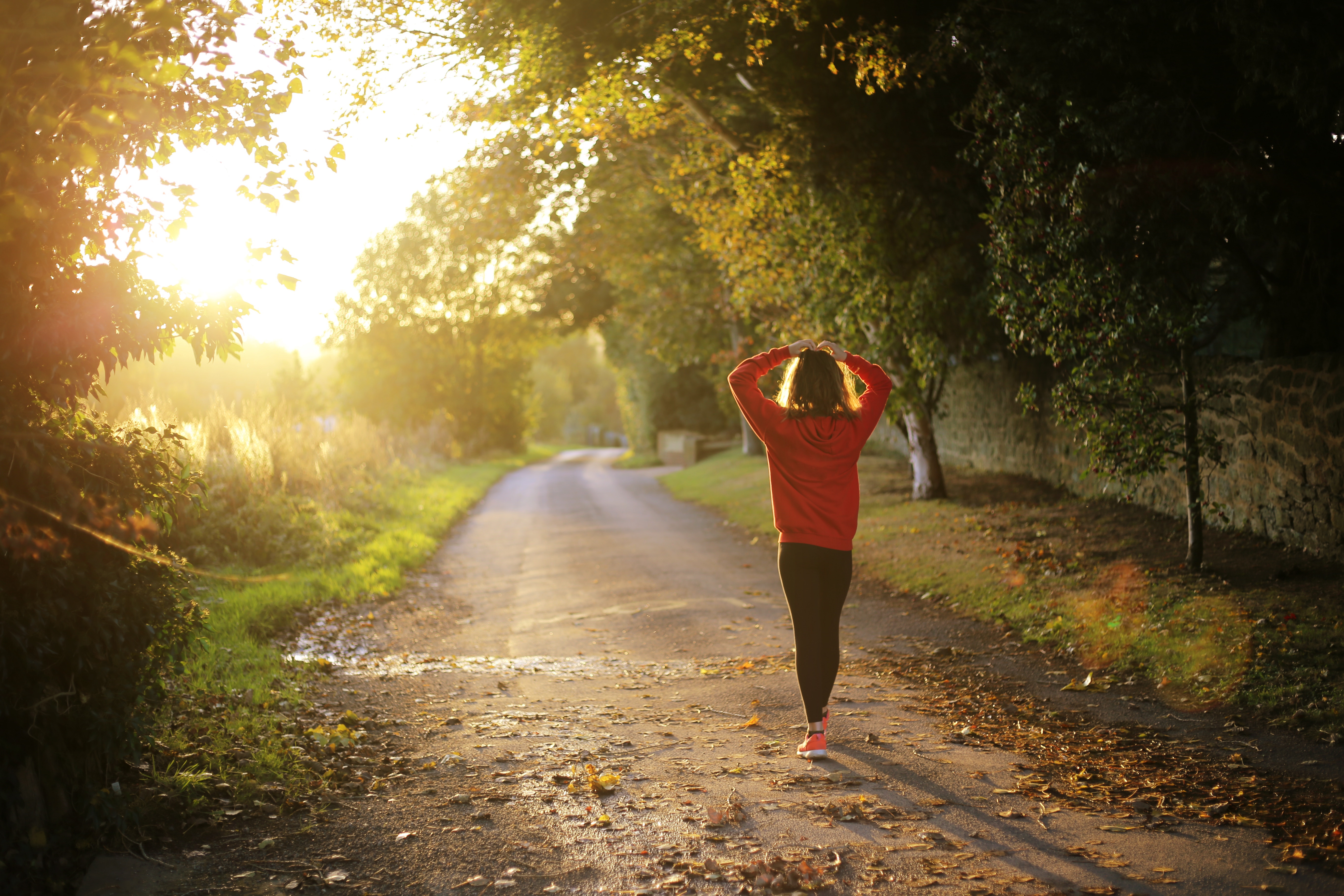 Menopause Preparation